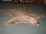Екатерининский Дворец, шкура медведя в комнате Екатерины
